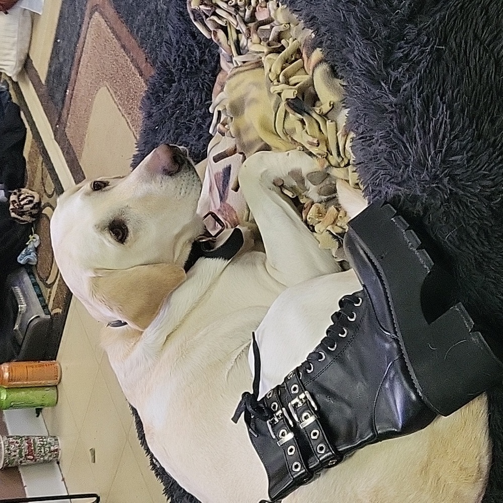 Black gothic boots (doggo not included)